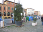 Albero di Natale 2011 thumb 002